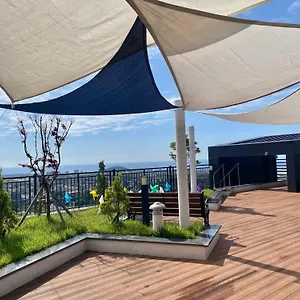 Ventimo & 济州市